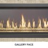 Fireplace X | 4415 See Through Deluxe Gallery Face