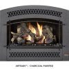 Fireplace X | 564 TRV Artisan CP