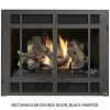 Fireplace X | 564 TRV Rect Double Door Black Painted