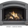 Fireplace X | 864 TRV 31K Artisan Charcoal Painted