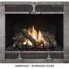 Fireplace X | 864 TRV 31K Timberline Burnished Patina