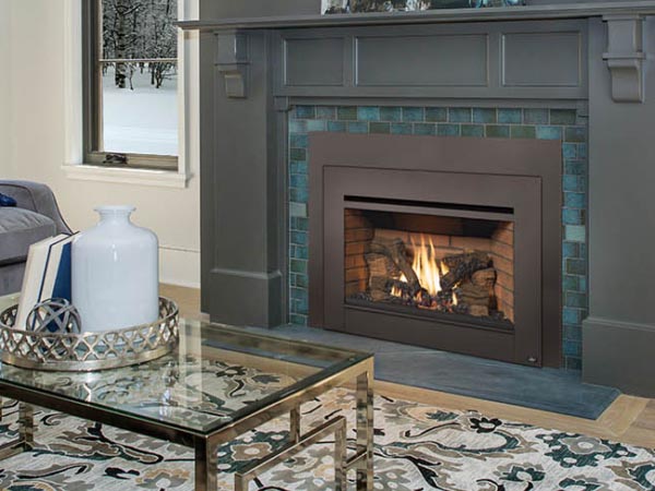 Gas Fireplace Inserts Family Image